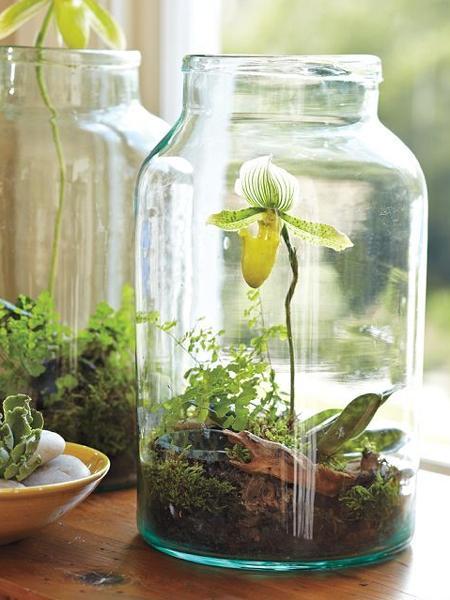 10 façons géniales de transformer vos vieux bocaux