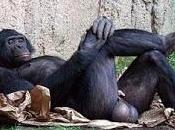 Propositions ministre l'intérieur joue cakes