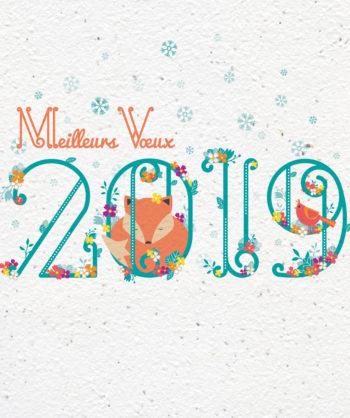 MEILLEURS VOEUX POUR 2019