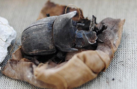 De rarissimes scarabées momifiés découverts dans une tombe à saqqarah