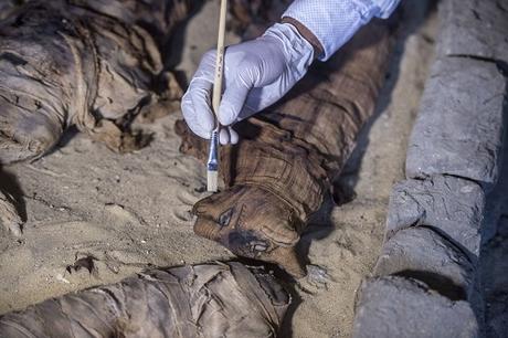 De rarissimes scarabées momifiés découverts dans une tombe à Saqqarah