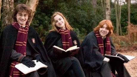 Netflix intégrera la saga Harry Potter le 1er février prochain