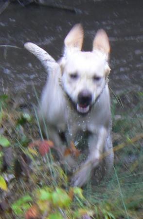 Le jour où j'ai rencontré mon maître