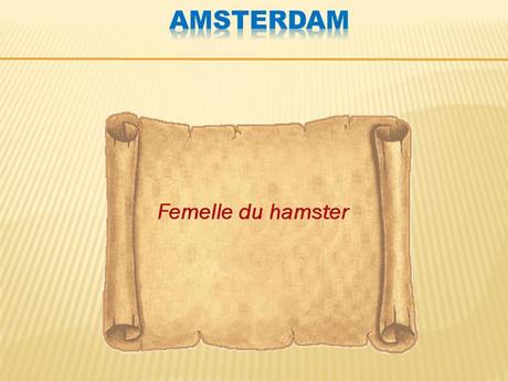 Divers - le nouveau dictionnaire - 1