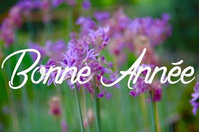 Bonne Année Bonne Année