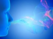 ANOSMIE Vers implant nasal pour rétablir l'odorat