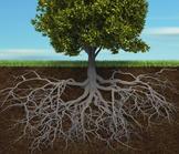 Comment déraciner la pauvreté en Afrique ? 