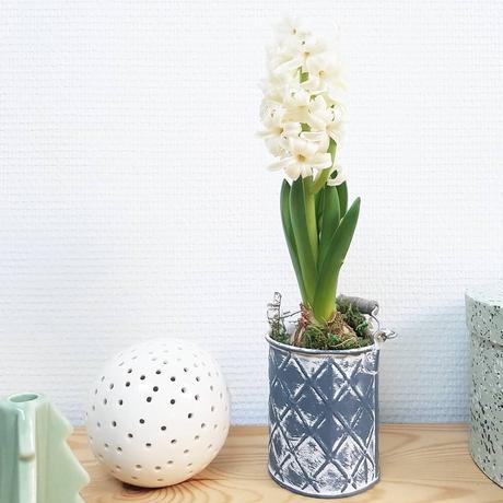 Mes Favoris de Décembre Mes Favoris de Décembre