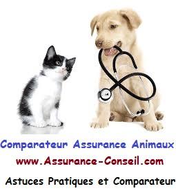 comparateur assurance animaux