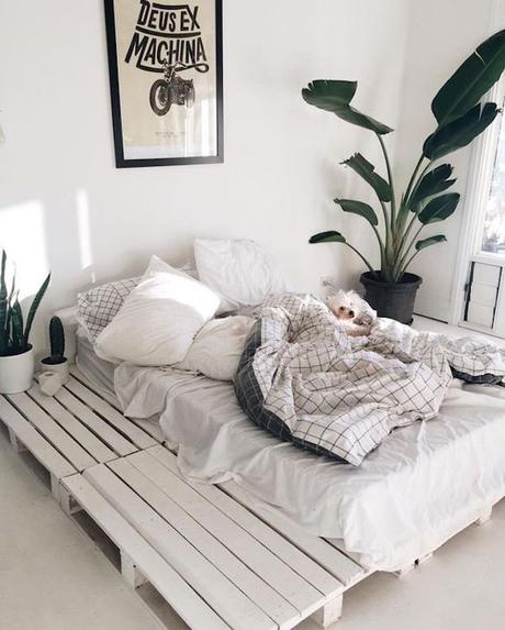 comment faire un lit en palette blanc cosy hygge chien plantes verte