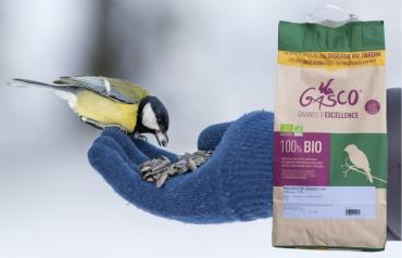 Des graines bio pour nourrir les oiseaux sauvages