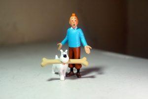 Les voyages de Tintin 1