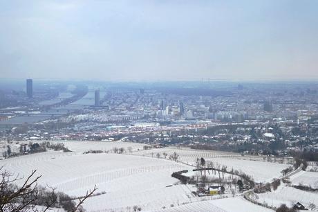 Vienne en hiver et sous la neige : 5 activités typiques