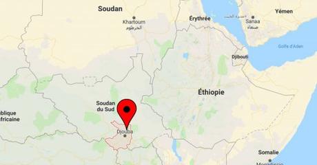 Soudan du Sud : libération et rapatriement de 22 personnes sous les auspices du CICR