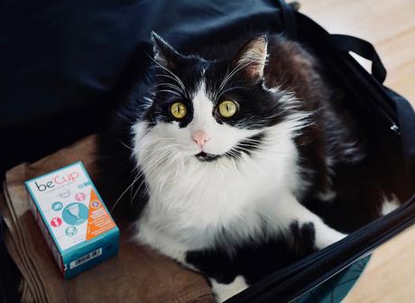 Faut essayer avant de dire j’aime pas ! Be’Cup