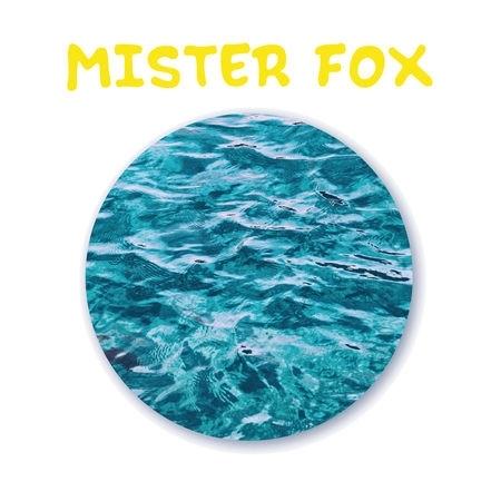 Les harmonies de Mister Fox