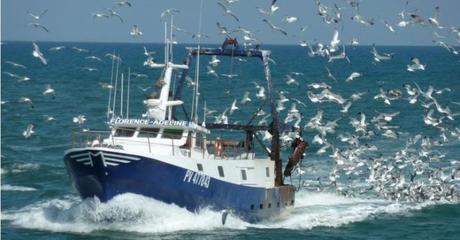 Le plan de gestion de l’Europe pour l’ouest de la méditerranée n’est pas adapté aux pêcheries de notre littoral