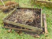 travaux jardin prévus pour 2019