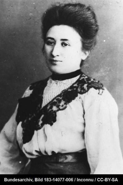 Rosa Luxemburg aurait-elle été gilet jaune ?