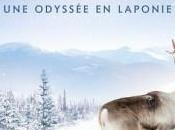 Aïlo odyssée Laponie, infos