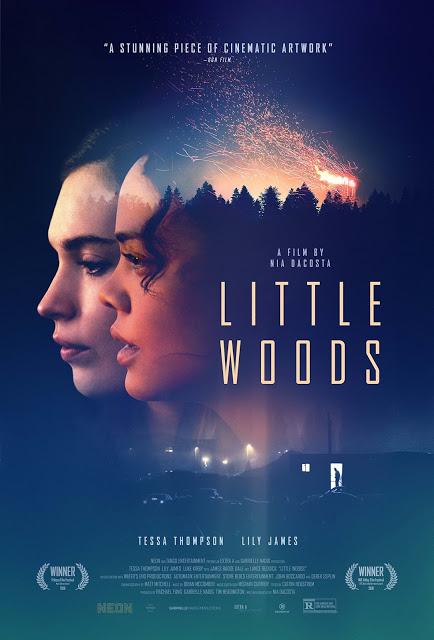 Premier trailer pour Little Woods de Nia DaCosta
