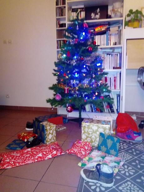 Notre mois de décembre 2018 DSC_3499