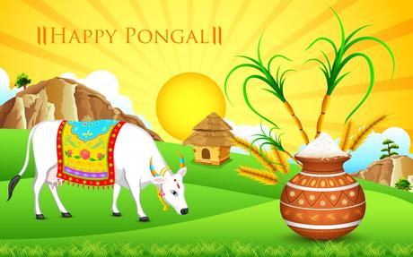 La célébration de Pongal au Tamil Nadu