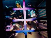 [CLIP] Odezenne Jacques