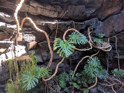 César Manrique Museum Lanzarote