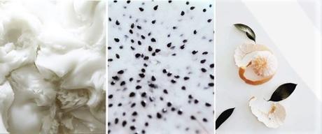 typology-cosmetique-beaute-ingredient-naturel typology-cosmetique-beaute-ingredient-naturel