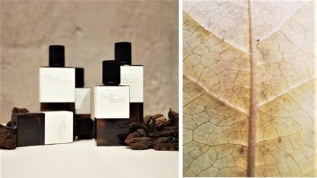 typology-cosmetique-beaute-gamme-raw typology-cosmetique-beaute-gamme-raw