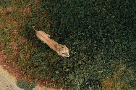 Les plus belles photos prises avec un drone en 2018