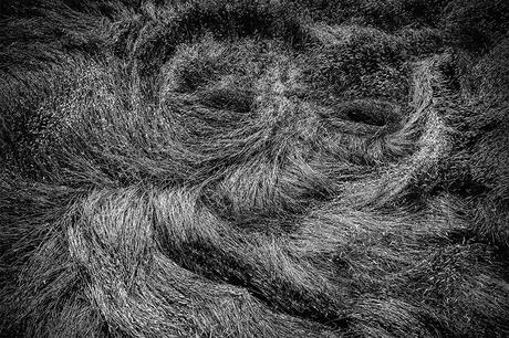 Les plus belles photos prises avec un drone en 2018