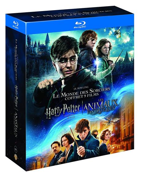 Le coffret DVD Harry Potter à l’école des Sorciers + Les Animaux Fantastiques et son Blu-ray