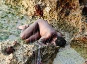 Dernières nouvelles XIIIème biennale Havane