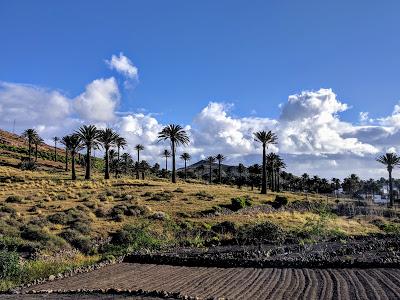 Lanzarote : vers les falaises de Haria
