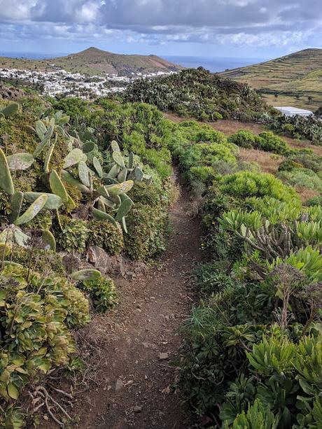 Lanzarote : vers les falaises de Haria