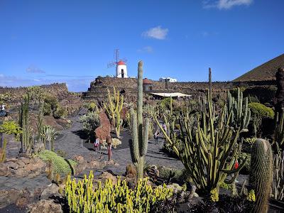 Lanzarote - Jardin de cactus.