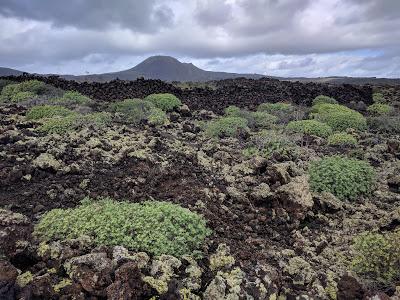 Lanzarote - Cueva de los verdes