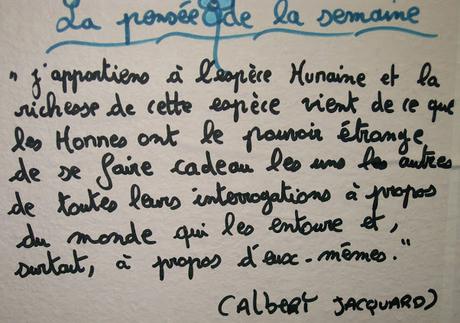 du duvet dans les poches