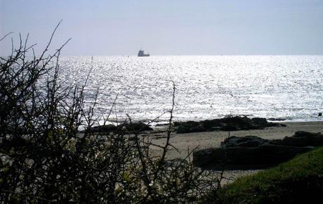 du duvet dans les poches