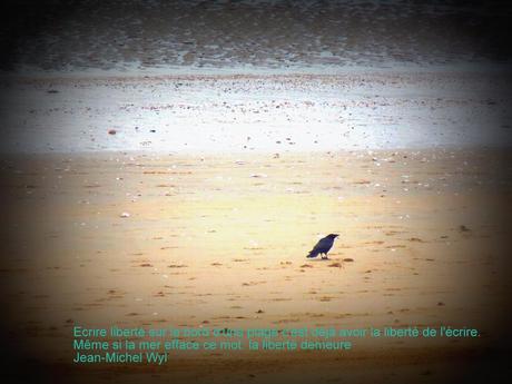 du duvet dans les poches