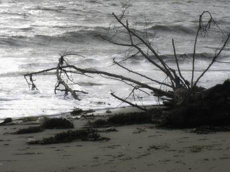 du duvet dans les poches