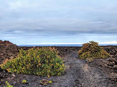 Lanzarote - Timanfaya - Montanas de Fuego.