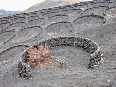 Lanzarote : randonnée vinicole de Uga à Mácher - Ascension du Guardilama.