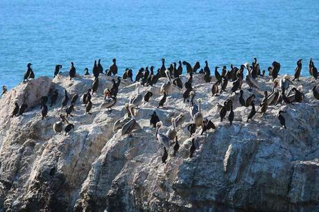 Pays Etranger - Basse Californie