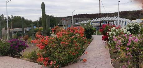 Pays Etranger - Basse Californie