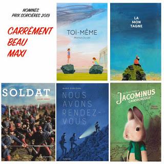 Les livres nominés pour les Prix Sorcières 2019