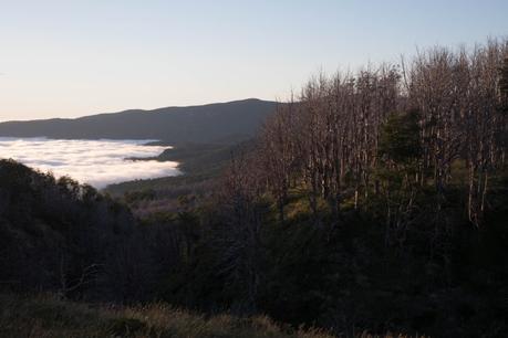 Le volcan Puyehue au Chili ou comment sortir des sentiers battus