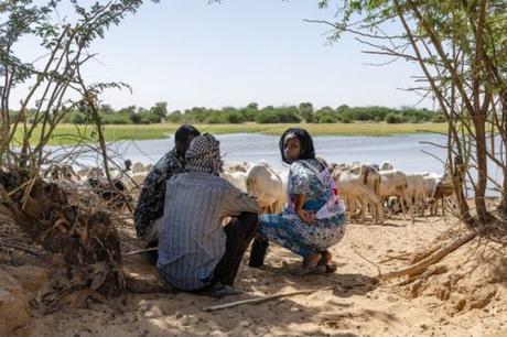 Changement climatique et conflits armés : cocktail explosif au Sahel